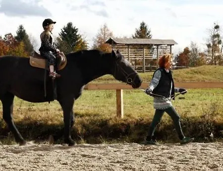 Apartment Carniolan House - Gorenska Hiska *