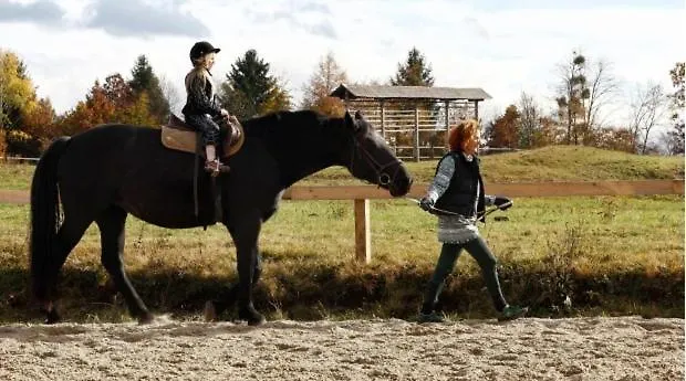 Apartment Carniolan House - Gorenska Hiska *